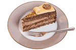 Einzelstück der Klimt Torte auf einem elegantem Teller